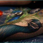 23 Stunning Peacock Feather Tattoos