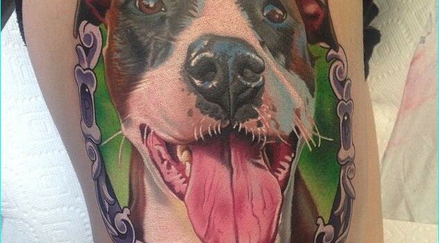 25 Awesome Pitbull Tattoo Snouts Meanings and Designs