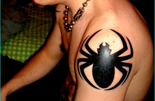 30 Best Spider Tattoo Design with Meanings for Men & Women